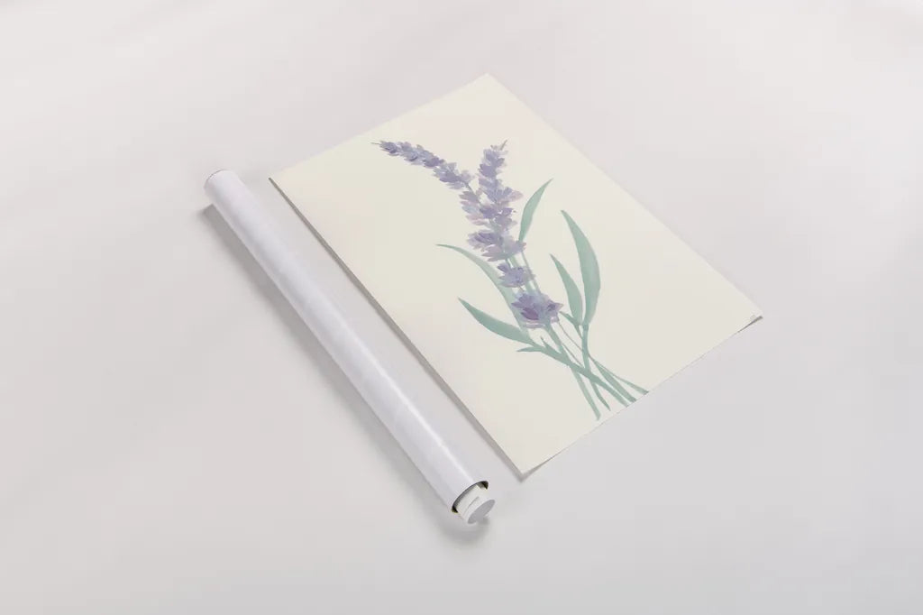 Lavender II by Chris Paschke. shown as a rolled paper print. Available as archival giclee rolled canvas, fine art paper, or poster print. SKU 55076h.