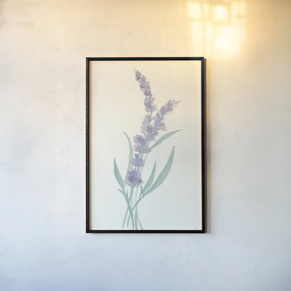 Lavender II by Chris Paschke. shown as a paper print in a black flame. Available as a archival giclee rolled canvas, fine art paper, or poster print. SKU 55076h.