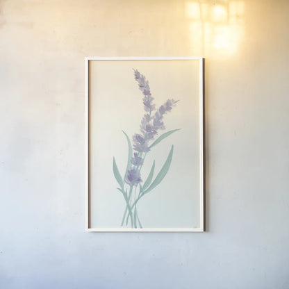 Lavender II by Chris Paschke. shown as a paper print in a white frame. Available as a archival giclee rolled canvas, fine art paper, or poster print. SKU 55076h.