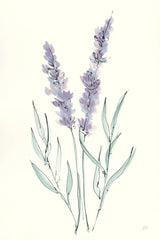 Lavender III by Chris Paschke. SKU 55077h. Archival Giclee Fine art print for wall decor.