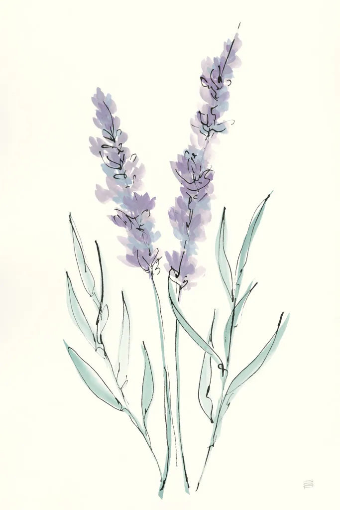 Lavender III by Chris Paschke. SKU 55077h. Archival Giclee Fine art print for wall decor.