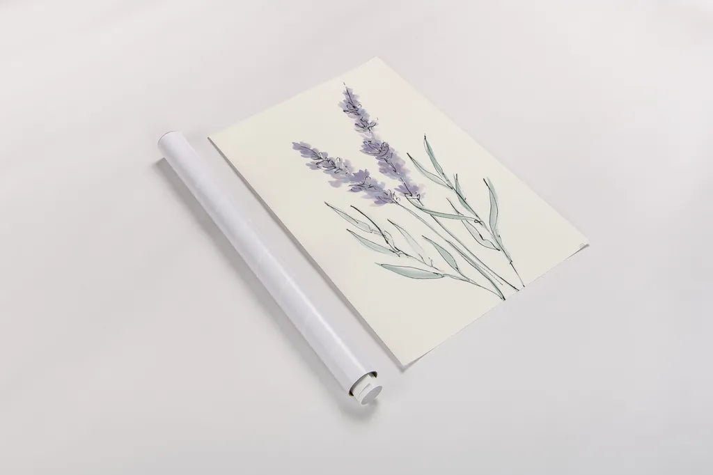 Lavender III by Chris Paschke. shown as a rolled paper print. Available as archival giclee rolled canvas, fine art paper, or poster print. SKU 55077h.