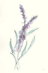 Lavender IV by Chris Paschke. SKU 55078h. Archival Giclee Fine art print for wall decor.