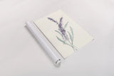Lavender IV by Chris Paschke. shown as a rolled paper print. Available as archival giclee rolled canvas, fine art paper, or poster print. SKU 55078h.