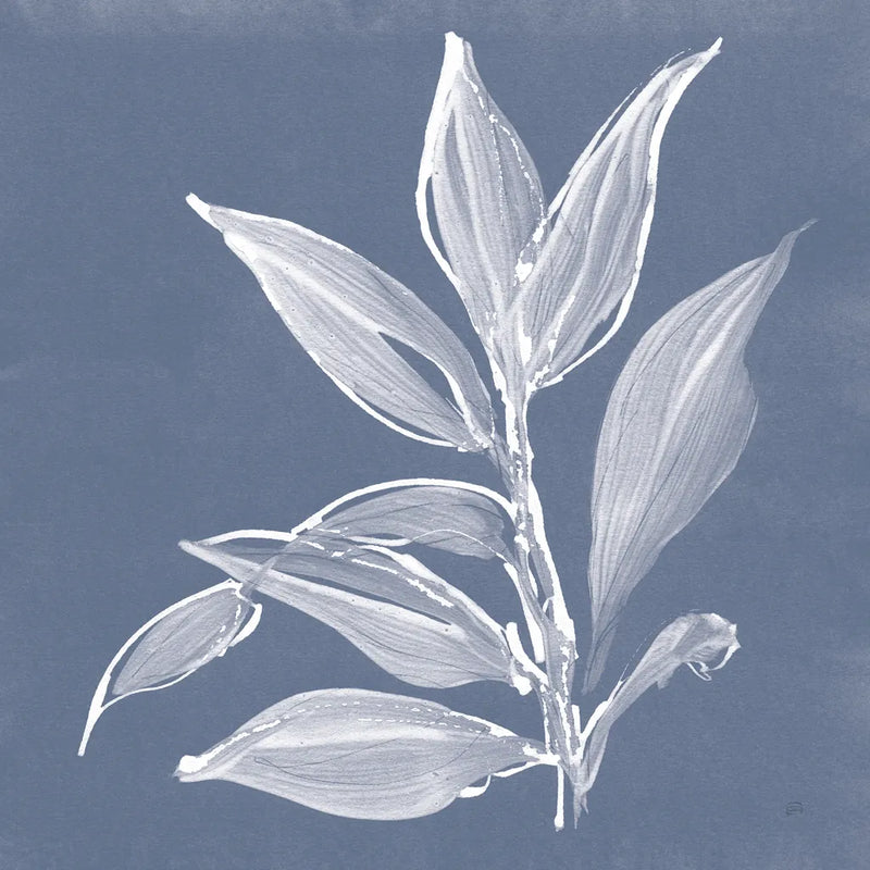 Leaf Study I Blue by Chris Paschke. SKU 80065a. Archival Giclee Fine art print for wall decor.