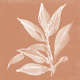 Leaf Study I Pheasant by Chris Paschke. SKU 68930a. Archival Giclee Fine art print for wall decor.