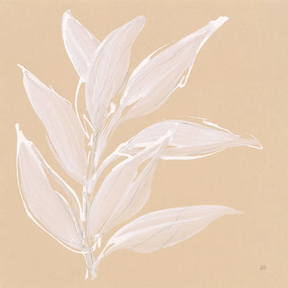 Leaf Study II by Chris Paschke. SKU 66773a. Archival Giclee Fine art print for wall decor.