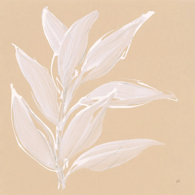 Leaf Study II by Chris Paschke. SKU 66773a. Archival Giclee Fine art print for wall decor.