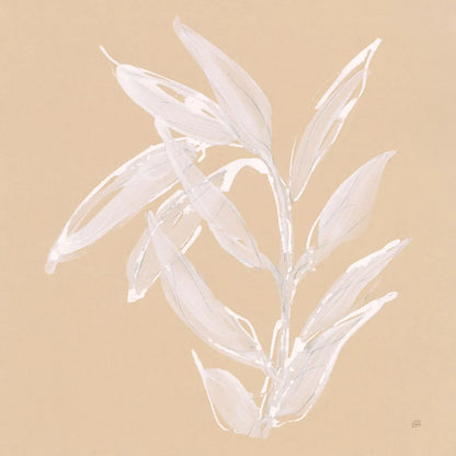 Leaf Study III by Chris Paschke. SKU 66774a. Archival Giclee Fine art print for wall decor.