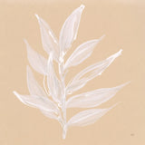 Leaf Study IV by Chris Paschke. SKU 66775a. Archival Giclee Fine art print for wall decor.