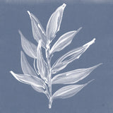 Leaf Study IV Blue by Chris Paschke. SKU 80066a. Archival Giclee Fine art print for wall decor.
