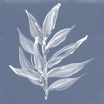 Leaf Study IV Blue by Chris Paschke. SKU 80066a. Archival Giclee Fine art print for wall decor.