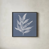 Leaf Study IV Blue by Chris Paschke. Shown in a sleek black glass frame for a contemporary gallery look. Available as an archival giclee rolled canvas, fine art paper, or poster print. SKU 80066a.