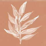 Leaf Study IV Pheasant by Chris Paschke. SKU 68931a. Archival Giclee Fine art print for wall decor.