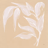 Leaf Study V by Chris Paschke. SKU 66776a. Archival Giclee Fine art print for wall decor.