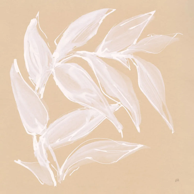 Leaf Study VI by Chris Paschke. SKU 66777a. Archival Giclee Fine art print for wall decor.
