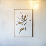 Leafed V by Chris Paschke. shown as a paper print in a natural frame. Available as a archival giclee rolled canvas, fine art paper, or poster print. SKU 64200h.