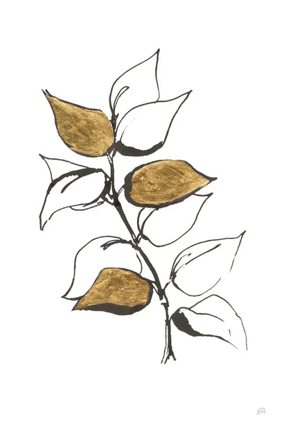 Leafed VIII by Chris Paschke. SKU 64203h. Archival Giclee Fine art print for wall decor.