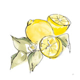 Lemon Still Life I by Chris Paschke. SKU 66880a. Archival Giclee Fine art print for wall decor.