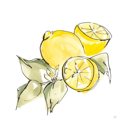 Lemon Still Life I by Chris Paschke. SKU 66880a. Archival Giclee Fine art print for wall decor.