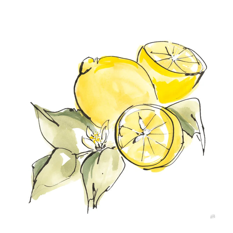Lemon Still Life I by Chris Paschke. SKU 66880a. Archival Giclee Fine art print for wall decor.