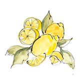 Lemon Still Life III by Chris Paschke. SKU 66882a. Archival Giclee Fine art print for wall decor.