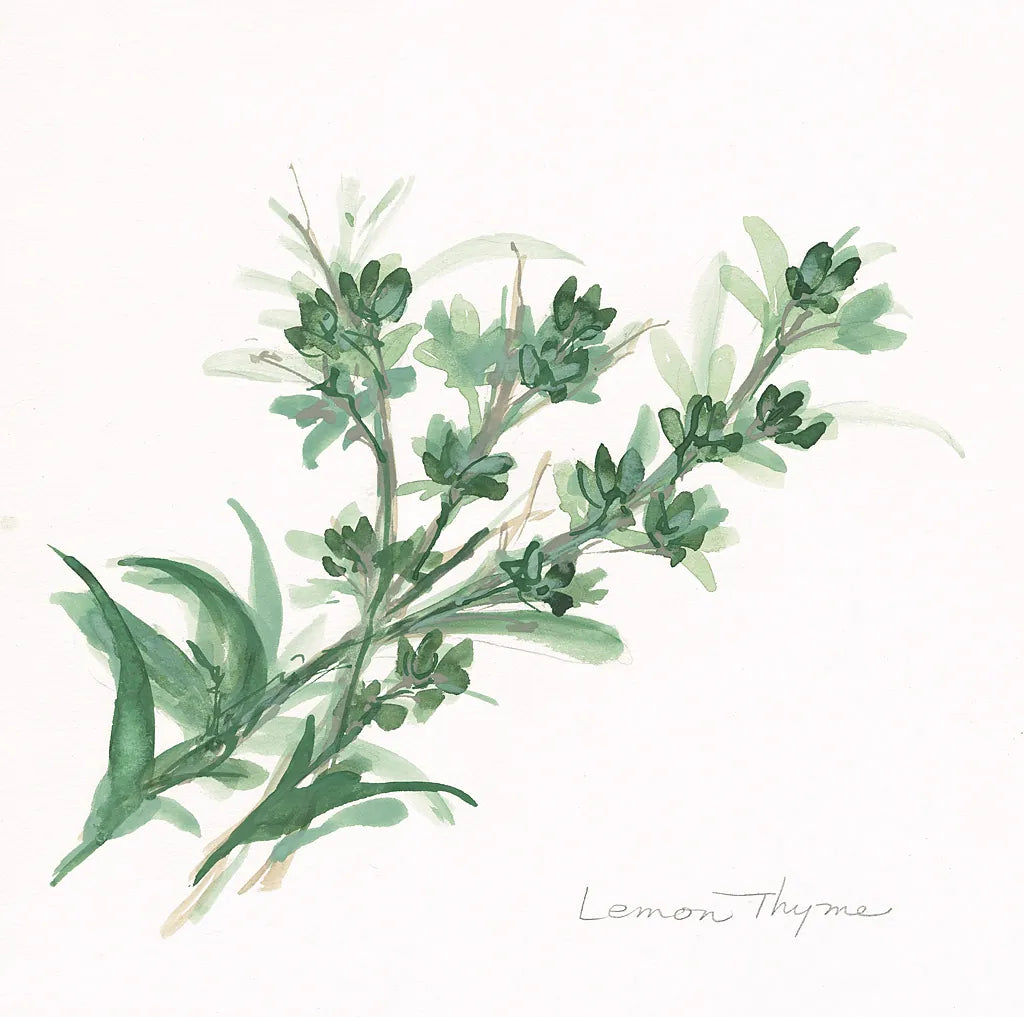 Lemon Thyme by Chris Paschke. SKU 27533a. Archival Giclee Fine art print for wall decor.