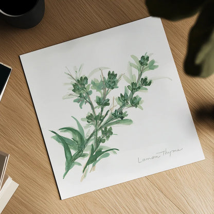 Lemon Thyme by Chris Paschke. Shown as a detailed flat fine art print, highlighting archival giclee quality. Available as an archival giclee rolled canvas, fine art paper, or poster print. SKU 27533a.