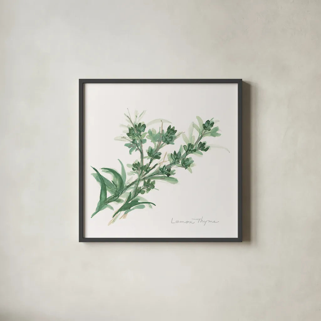Lemon Thyme by Chris Paschke. Shown in a sleek black glass frame for a contemporary gallery look. Available as an archival giclee rolled canvas, fine art paper, or poster print. SKU 27533a.