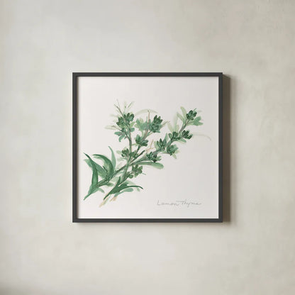 Lemon Thyme by Chris Paschke. Shown in a sleek black glass frame for a contemporary gallery look. Available as an archival giclee rolled canvas, fine art paper, or poster print. SKU 27533a.
