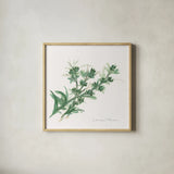 Lemon Thyme by Chris Paschke. Shown in a natural wood glass frame for a timeless modern aesthetic. Available as an archival giclee rolled canvas, fine art paper, or poster print. SKU 27533a.