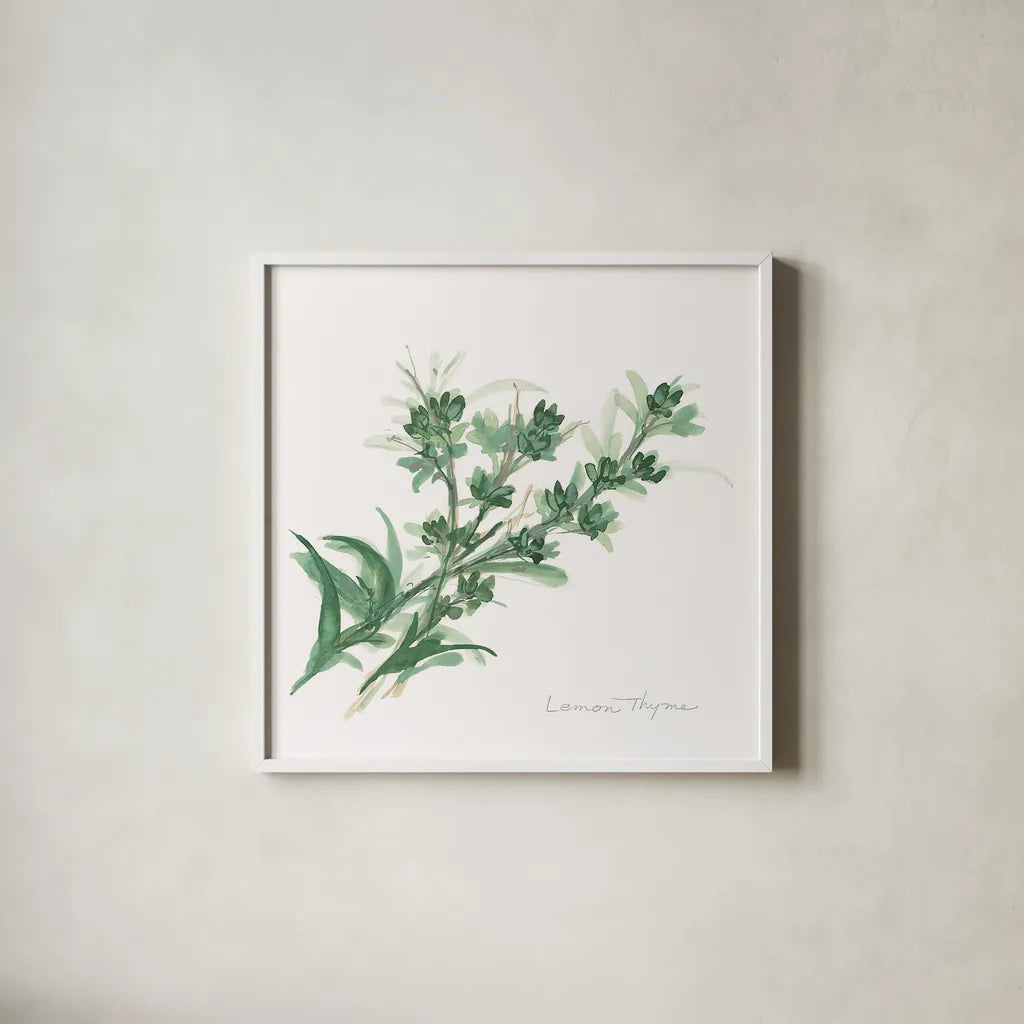 Lemon Thyme by Chris Paschke. Shown in a crisp white glass frame for a clean and minimalist style. Available as an archival giclee rolled canvas, fine art paper, or poster print. SKU 27533a.