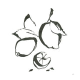 Lemons BW by Chris Paschke. SKU 64216a. Archival Giclee Fine art print for wall decor.