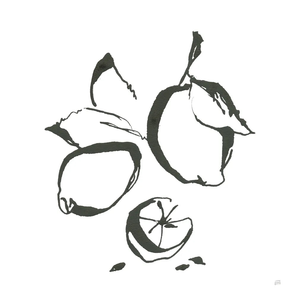 Lemons BW by Chris Paschke. SKU 64216a. Archival Giclee Fine art print for wall decor.