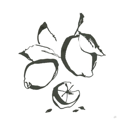 Lemons BW by Chris Paschke. SKU 64216a. Archival Giclee Fine art print for wall decor.