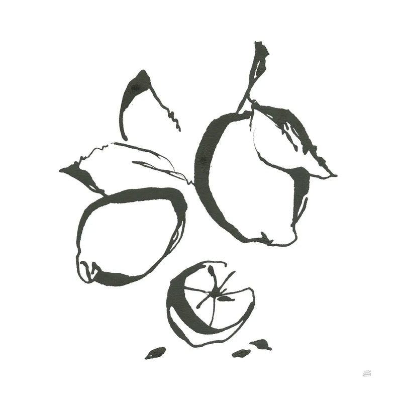 Lemons BW by Chris Paschke. SKU 64216a. Archival Giclee Fine art print for wall decor.