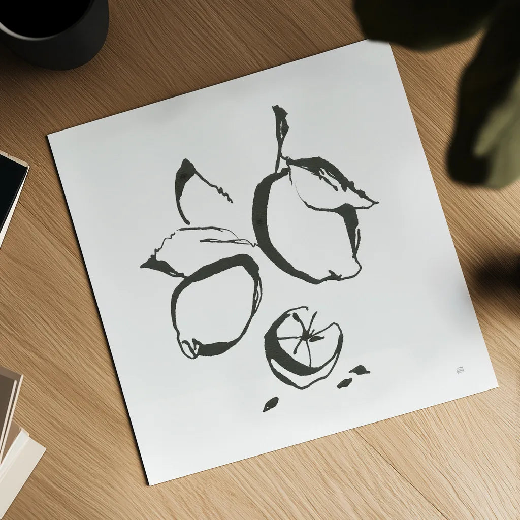 Lemons BW by Chris Paschke. Shown as a detailed flat fine art print, highlighting archival giclee quality. Available as an archival giclee rolled canvas, fine art paper, or poster print. SKU 64216a.