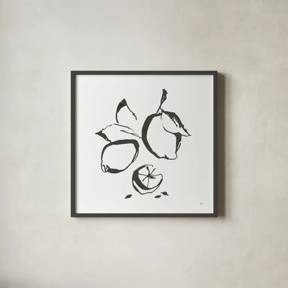 Lemons BW by Chris Paschke. Shown in a sleek black glass frame for a contemporary gallery look. Available as an archival giclee rolled canvas, fine art paper, or poster print. SKU 64216a.