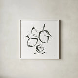 Lemons BW by Chris Paschke. Shown in a crisp white glass frame for a clean and minimalist style. Available as an archival giclee rolled canvas, fine art paper, or poster print. SKU 64216a.