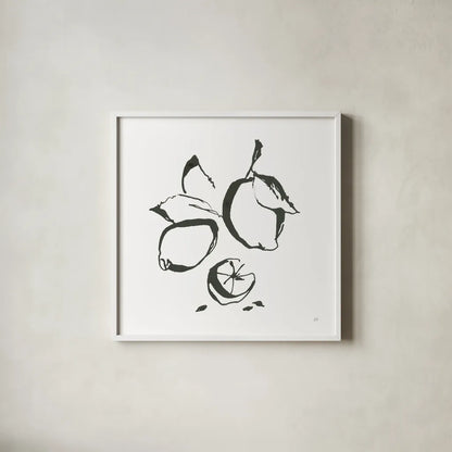 Lemons BW by Chris Paschke. Shown in a crisp white glass frame for a clean and minimalist style. Available as an archival giclee rolled canvas, fine art paper, or poster print. SKU 64216a.