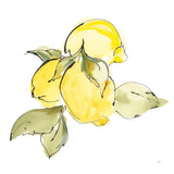 Lemons I by Chris Paschke. SKU 66876a. Archival Giclee Fine art print for wall decor.
