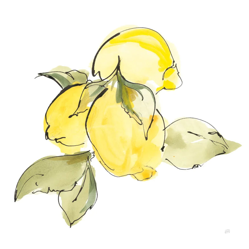Lemons I by Chris Paschke. SKU 66876a. Archival Giclee Fine art print for wall decor.