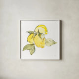 Lemons I by Chris Paschke. Shown in a crisp white glass frame for a clean and minimalist style. Available as an archival giclee rolled canvas, fine art paper, or poster print. SKU 66876a.