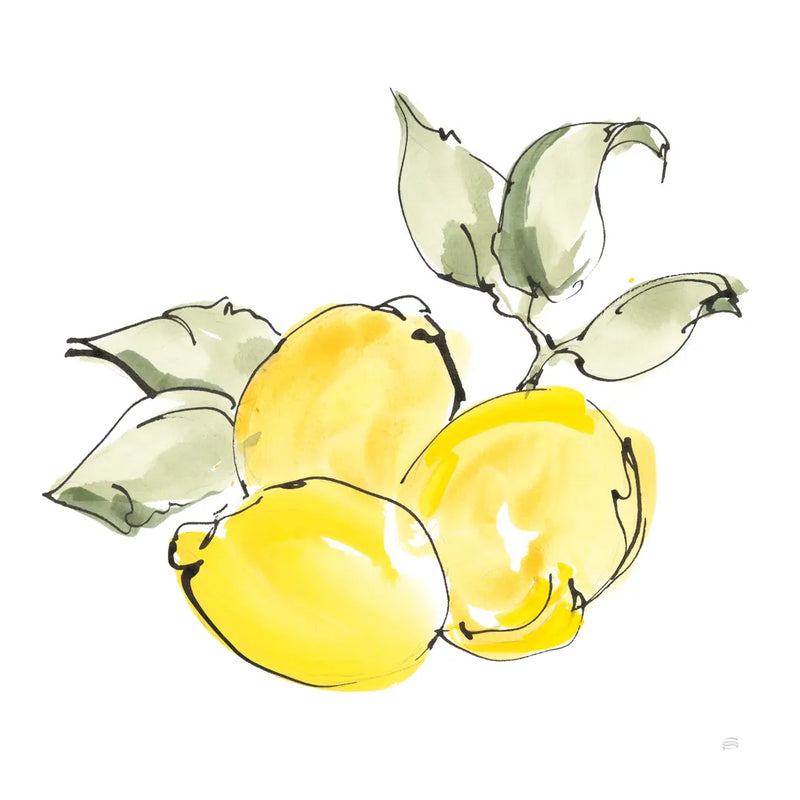Lemons II by Chris Paschke. SKU 66877a. Archival Giclee Fine art print for wall decor.