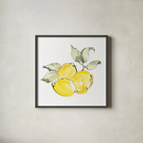 Lemons II by Chris Paschke. Shown in a sleek black glass frame for a contemporary gallery look. Available as an archival giclee rolled canvas, fine art paper, or poster print. SKU 66877a.