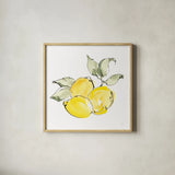 Lemons II by Chris Paschke. Shown in a natural wood glass frame for a timeless modern aesthetic. Available as an archival giclee rolled canvas, fine art paper, or poster print. SKU 66877a.