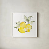 Lemons II by Chris Paschke. Shown in a crisp white glass frame for a clean and minimalist style. Available as an archival giclee rolled canvas, fine art paper, or poster print. SKU 66877a.