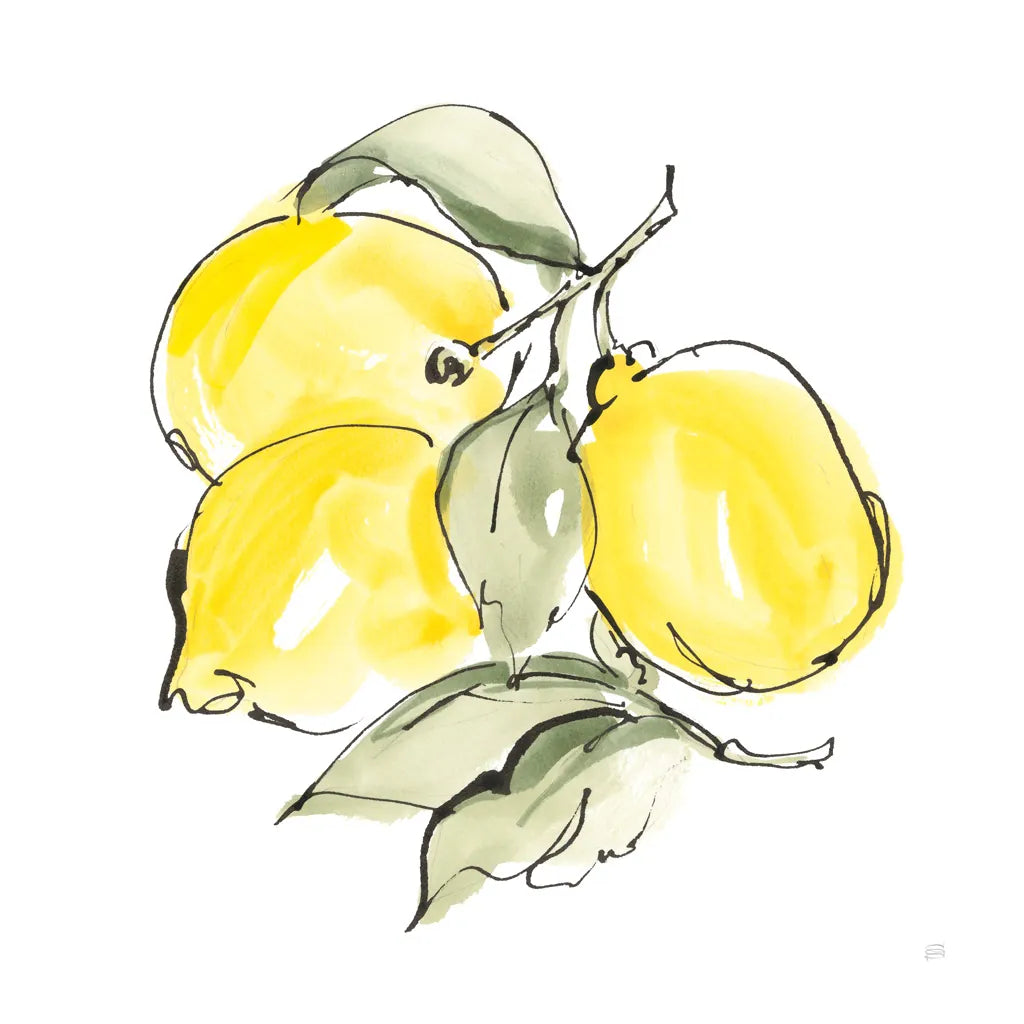 Lemons III by Chris Paschke. SKU 66878a. Archival Giclee Fine art print for wall decor.