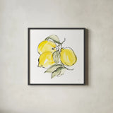 Lemons III by Chris Paschke. Shown in a sleek black glass frame for a contemporary gallery look. Available as an archival giclee rolled canvas, fine art paper, or poster print. SKU 66878a.