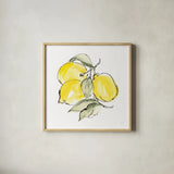Lemons III by Chris Paschke. Shown in a natural wood glass frame for a timeless modern aesthetic. Available as an archival giclee rolled canvas, fine art paper, or poster print. SKU 66878a.